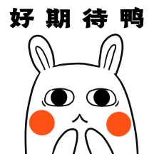 原创表情包兔兔好期待鸭