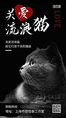 关爱流浪猫公益黑色创意摄影图宣传海报