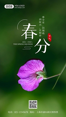 春分祝福春天摄影风手机海报