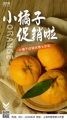 橘子促销海报
