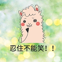 忍住不能笑熊猫黑白表情包