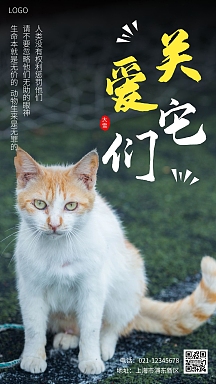 大雪节气宠物关爱流浪猫白色简约手机海报