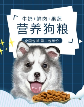 宠物用品狗粮蓝色简约电商banner