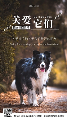流浪动物检查公益宣传摄影图海报翻页h5简约清新宠物专题h5上一页12下