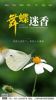 舞蝶迷香摄影风绿色蝴蝶与花的早安日签图