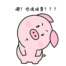 表情包嗯你说谁是白痴