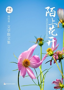 摄影宣传海报原创二十四节气简约矢量节气宣传海报陌上花开古风海报企