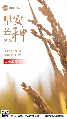 手机海报4月20日谷雨手机海报清晨早安励志清新海报简约大气励志抓