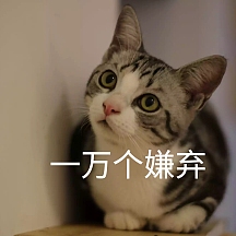 嫌弃表情包