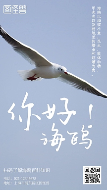 海鸥海报