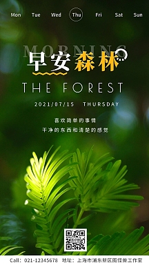 早安森林