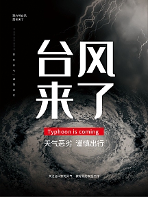 原创矢量简约大气台风来袭台风预警海报