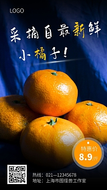 橘子促销海报