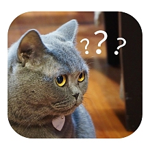 可爱企业商用就这疑惑大字报漫画公众号首图表情包我不信疑问紫色娱乐