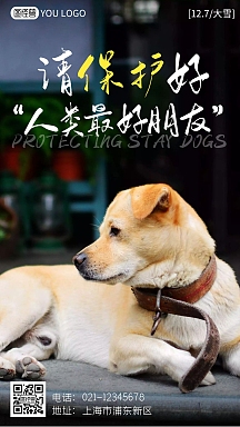 流浪狗救助宣传海报企业商用创意宠物领养海报惜福文昌不杀生狗公众号