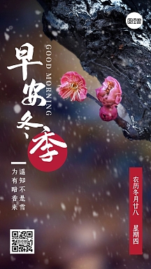 每日一签红色梅花飘雪早安冬季正能量日签