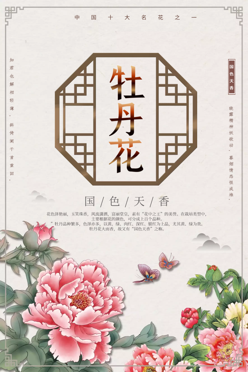 中国风牡丹花海报