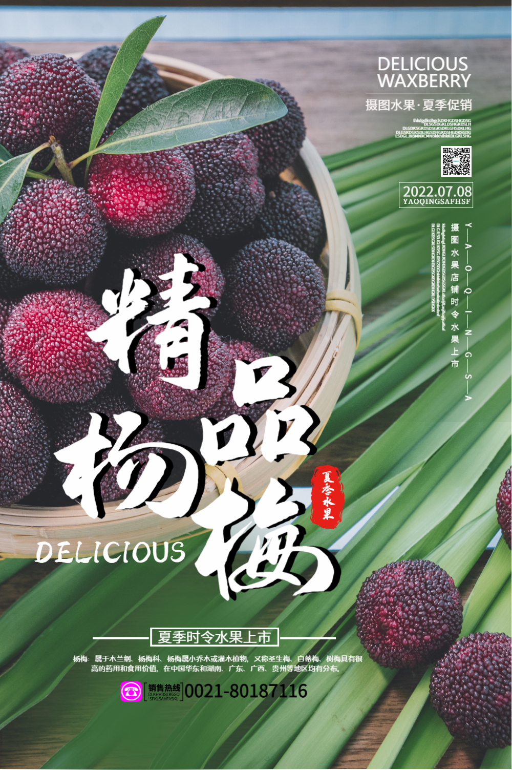 东魁杨梅