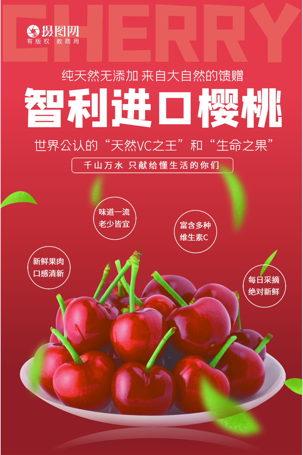 智利进口樱桃宣传海报