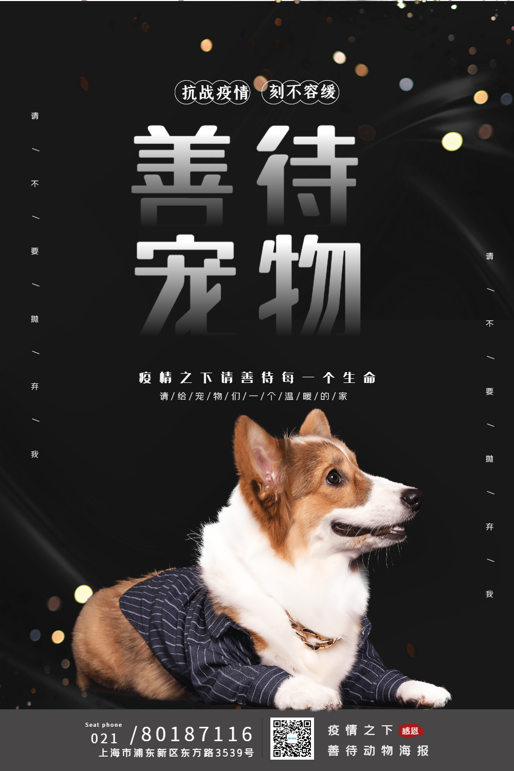 疫情之下善待动物海报