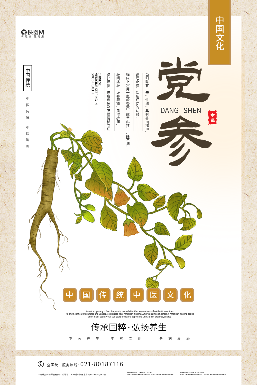 中医养生药材党参海报设计