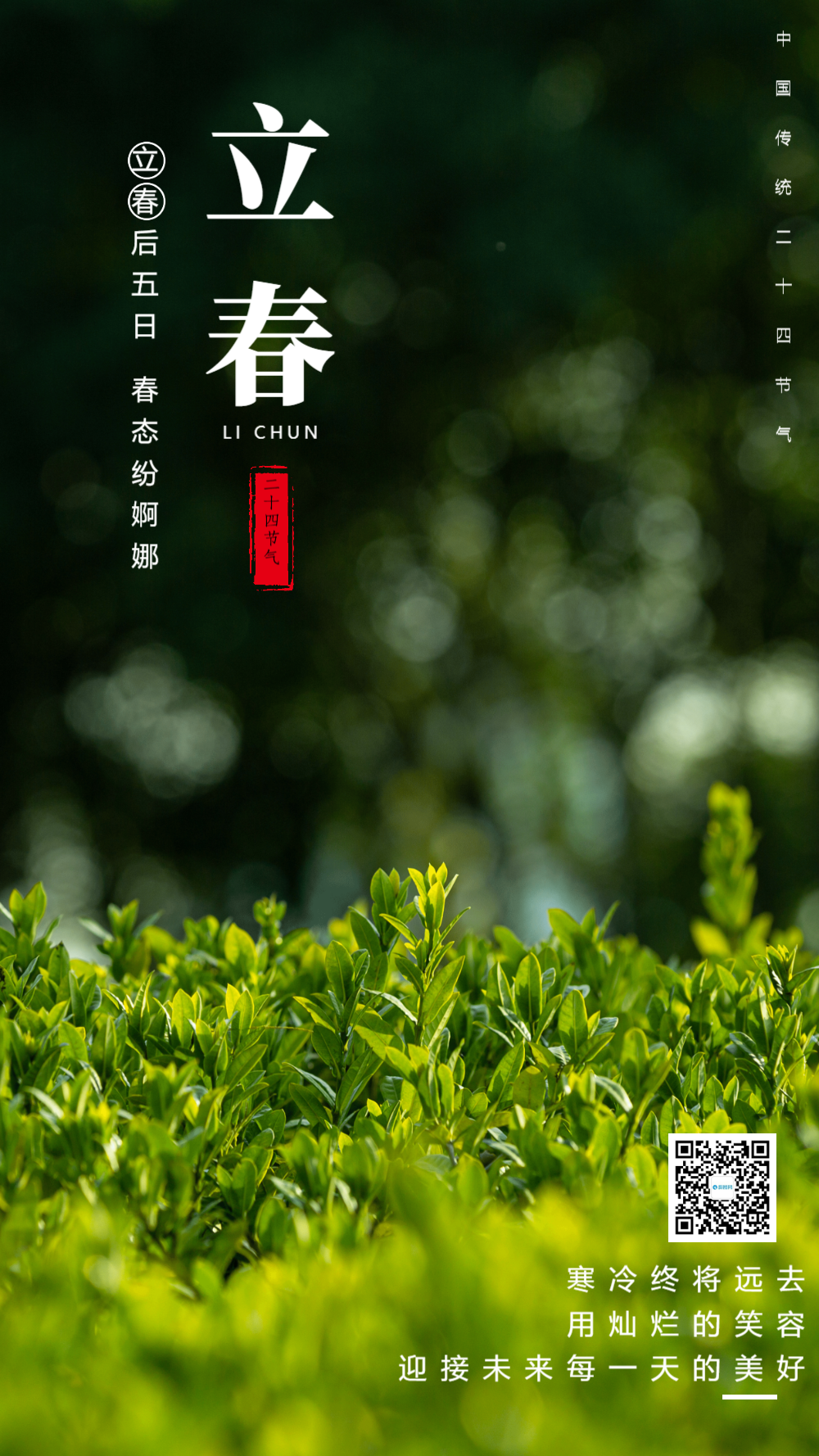 正版清新萌芽立春节气摄影图海报正版24节气图立春海报节日背景简约小