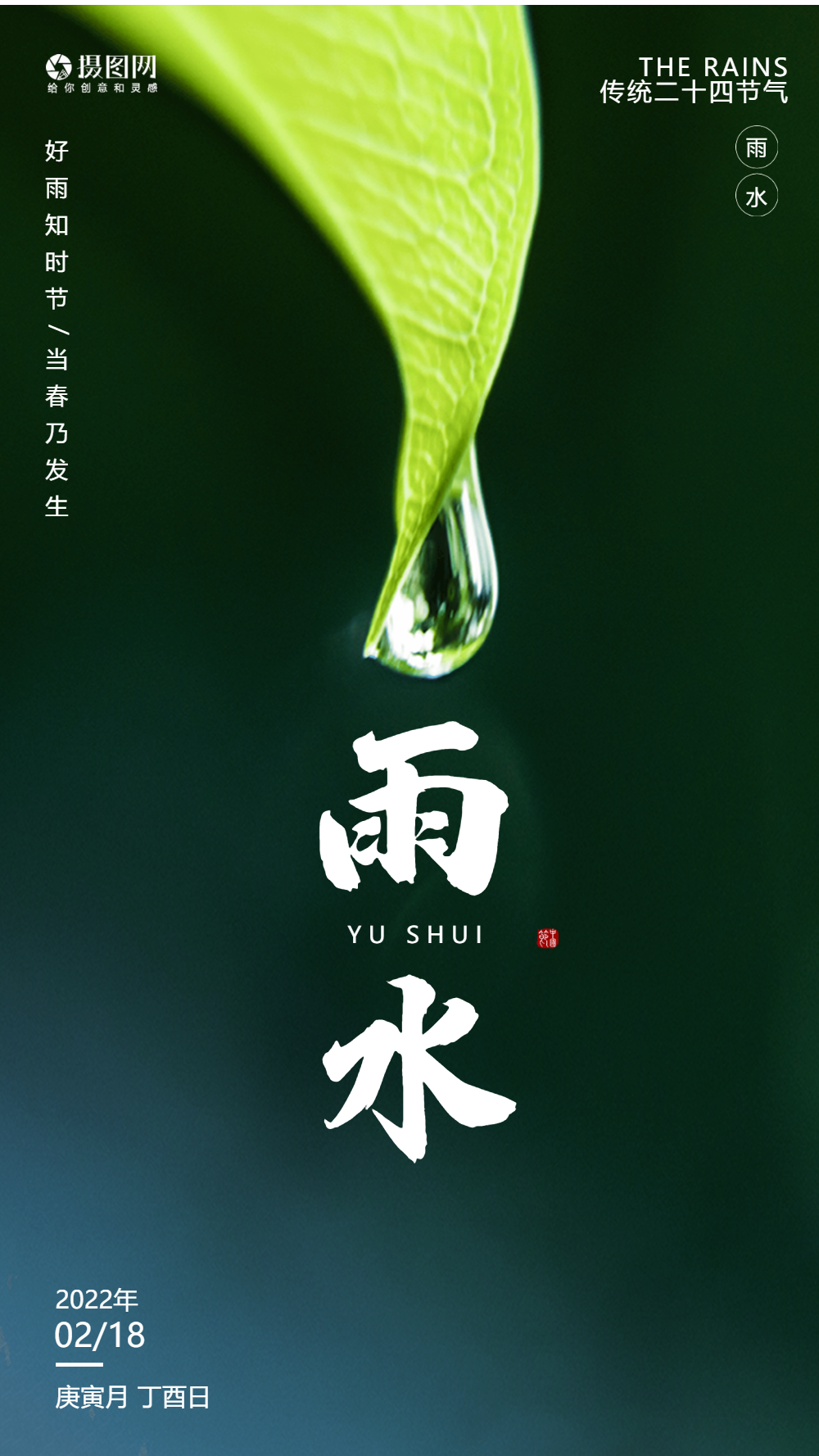 雨水节气摄影图海报