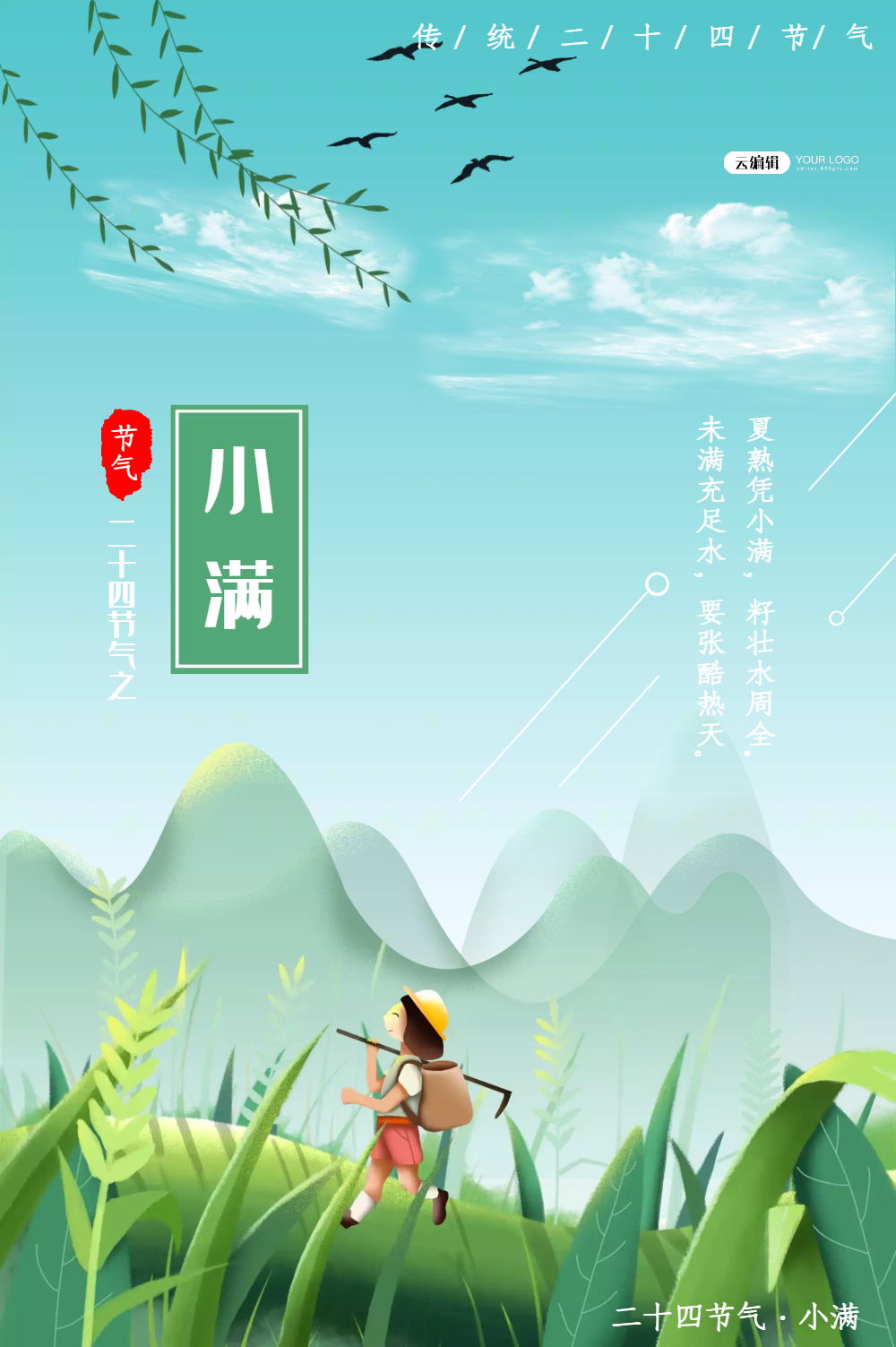 小满二十四节气海报