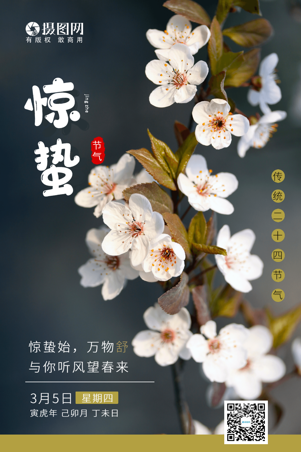 粉色桃花惊蛰节气海报