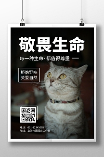 简约大气敬畏生命主题宣传海报