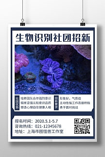 蓝色简约风格生物识别社团招新海报