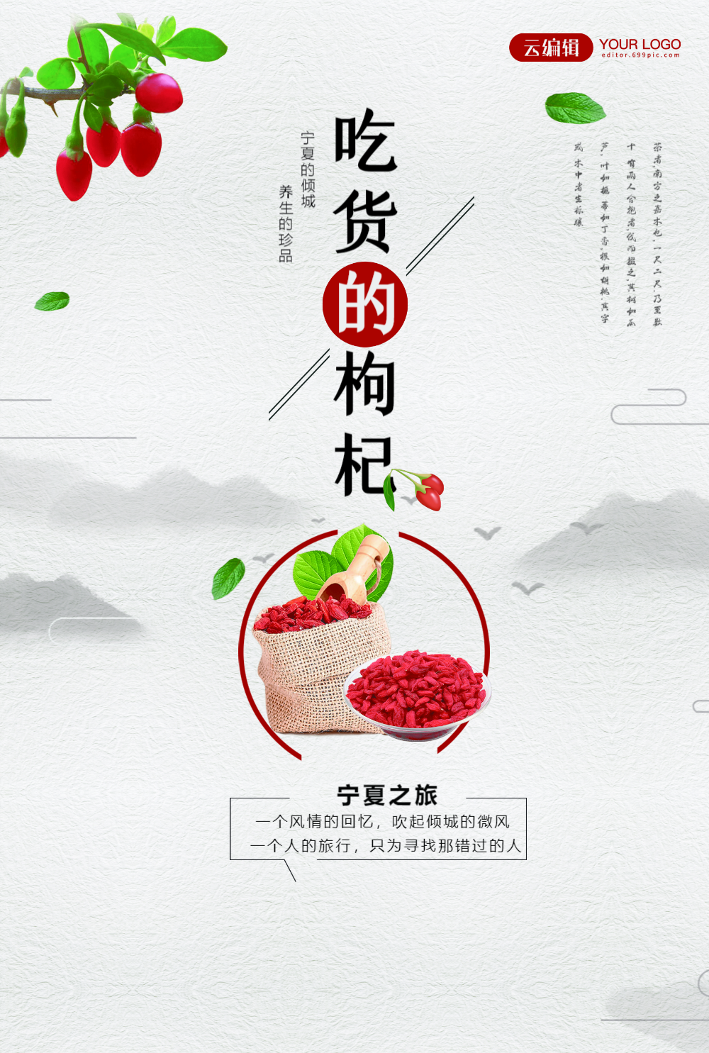 中国风枸杞宣传海报