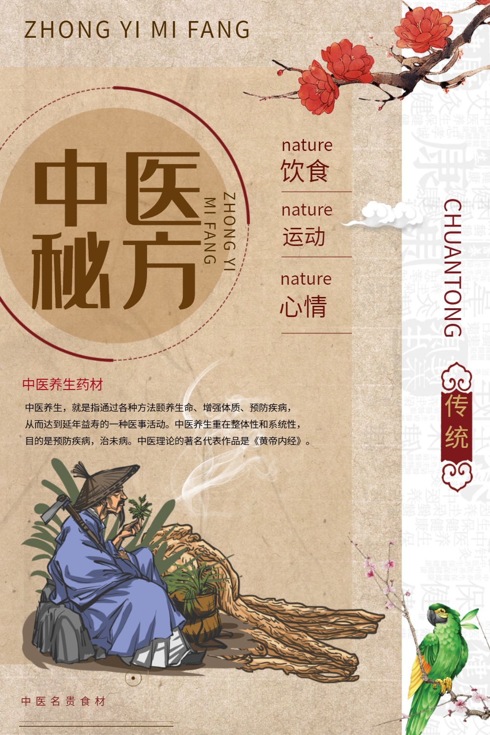 复古中医秘方养生药材海报