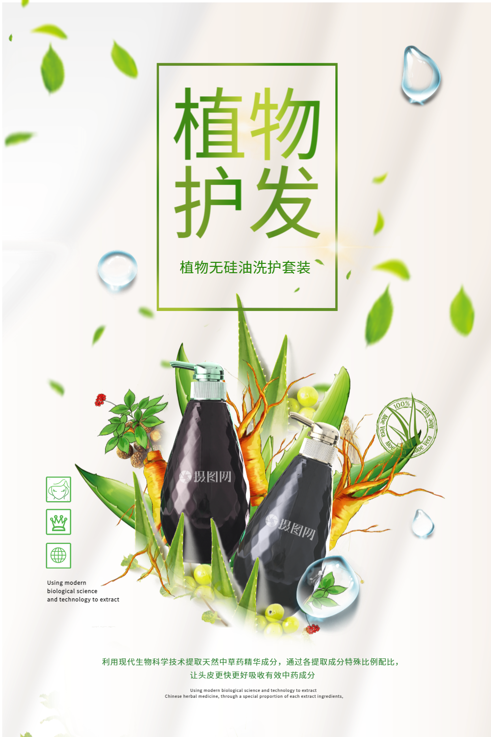 植物护发清新海报