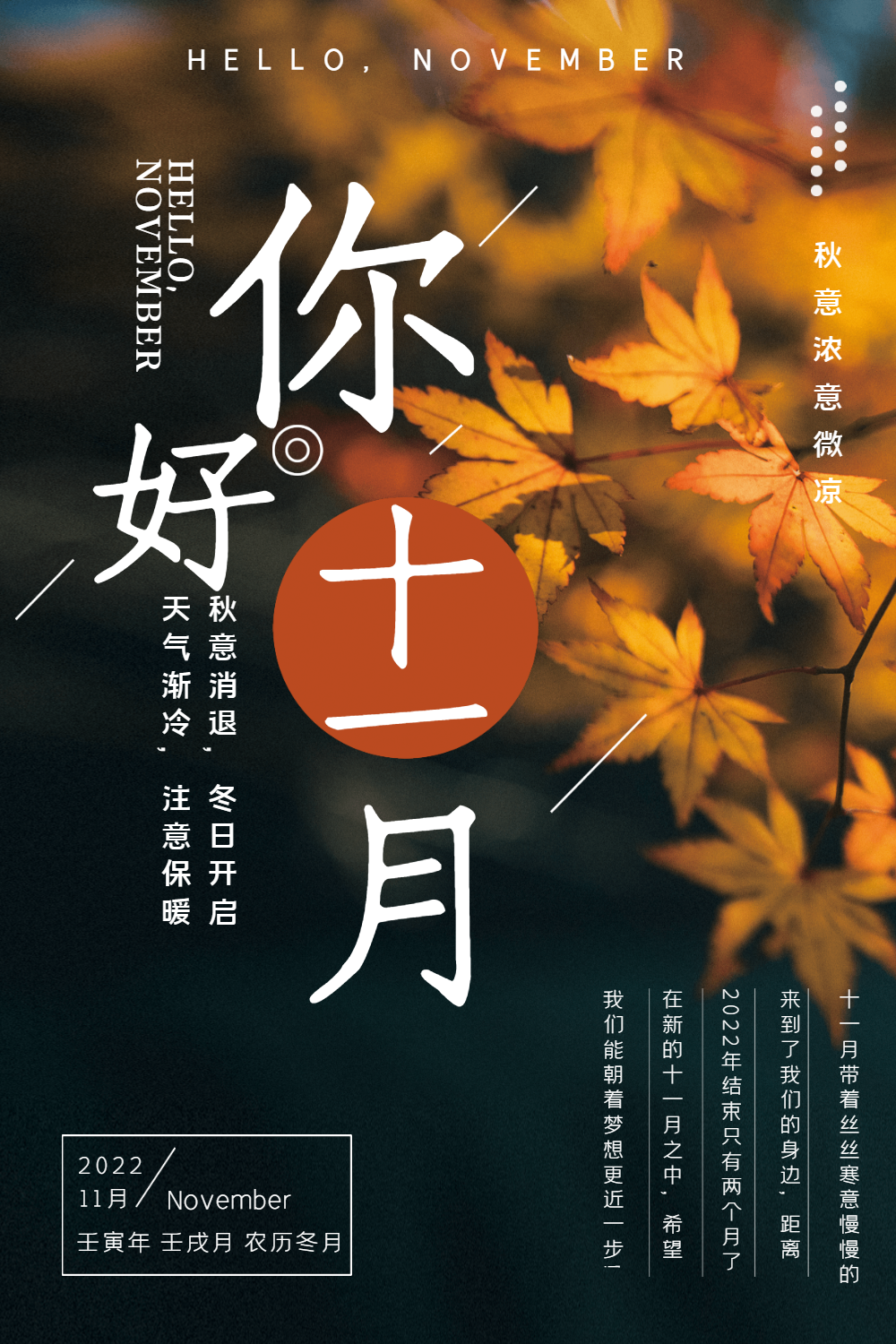 11月你好海报