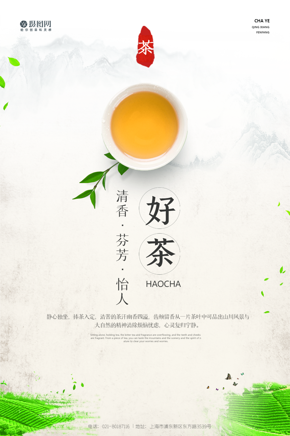 铁观音茶叶图片