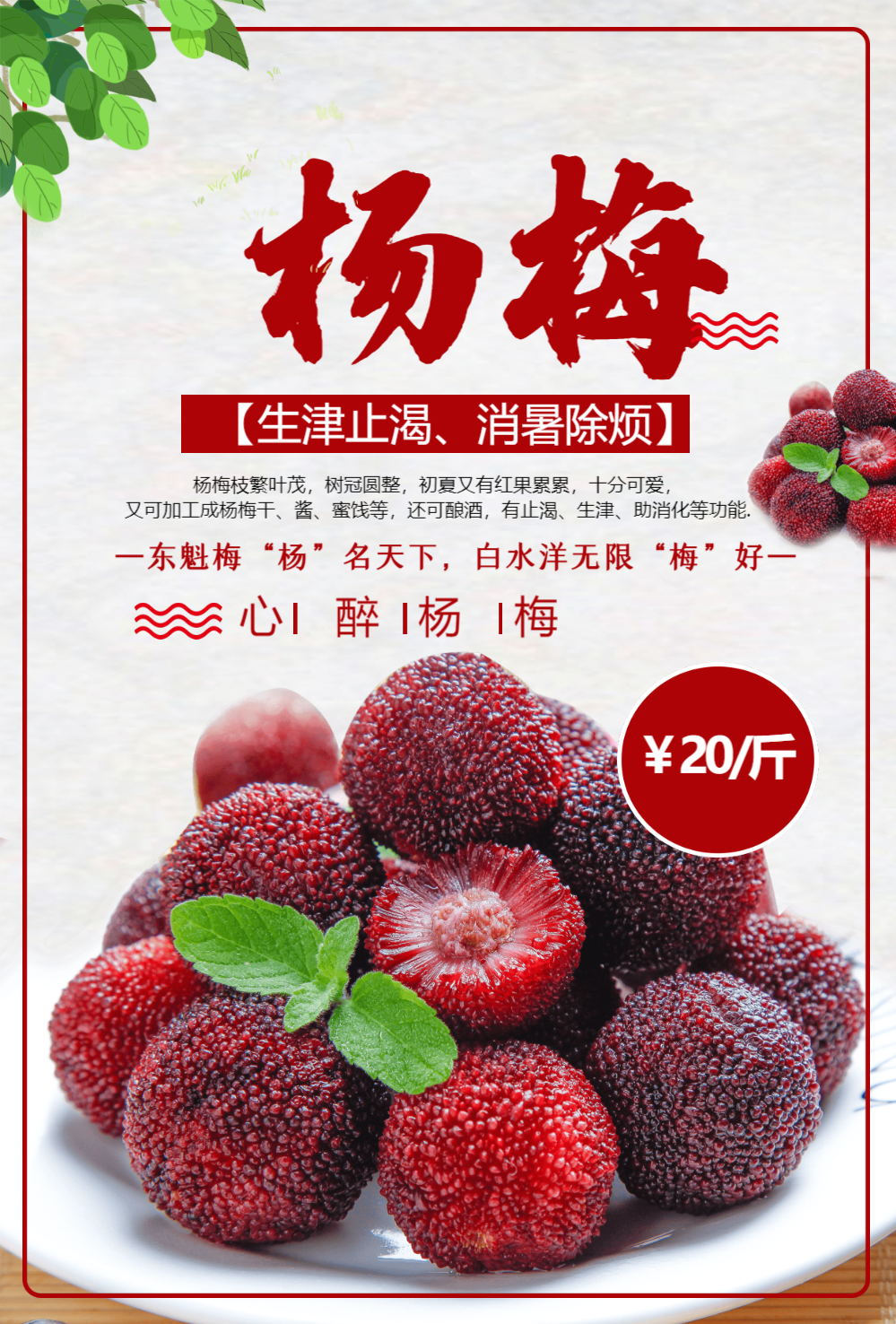 杨梅水果海报