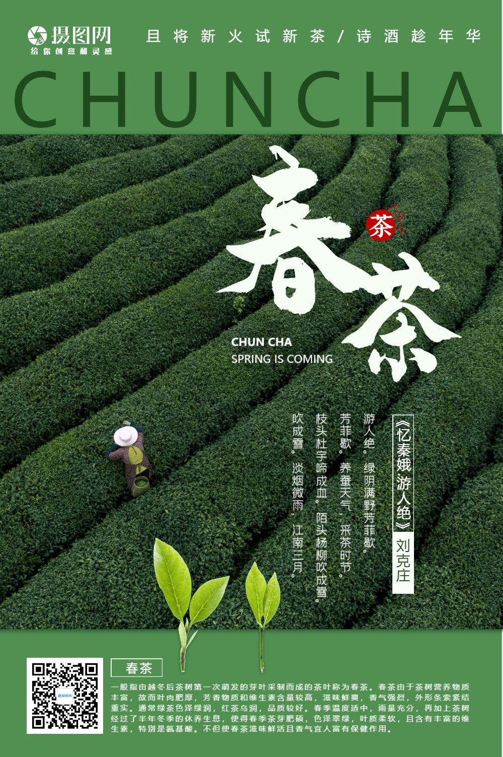 绿色春茶采摘海报