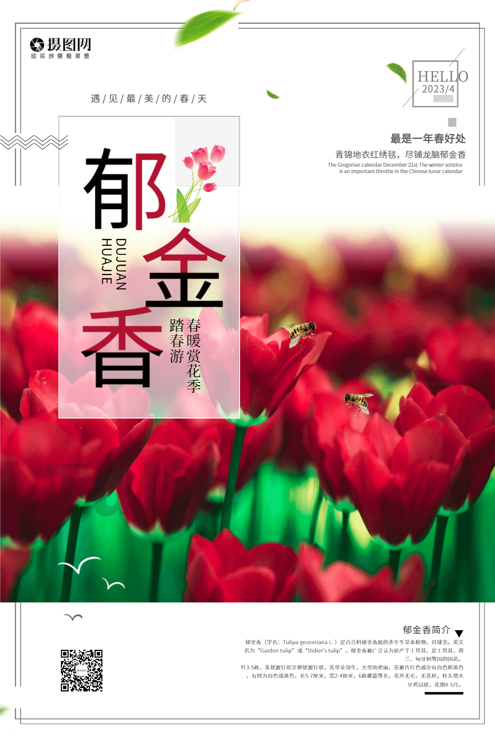 唯美大气郁金香赏花出游海报