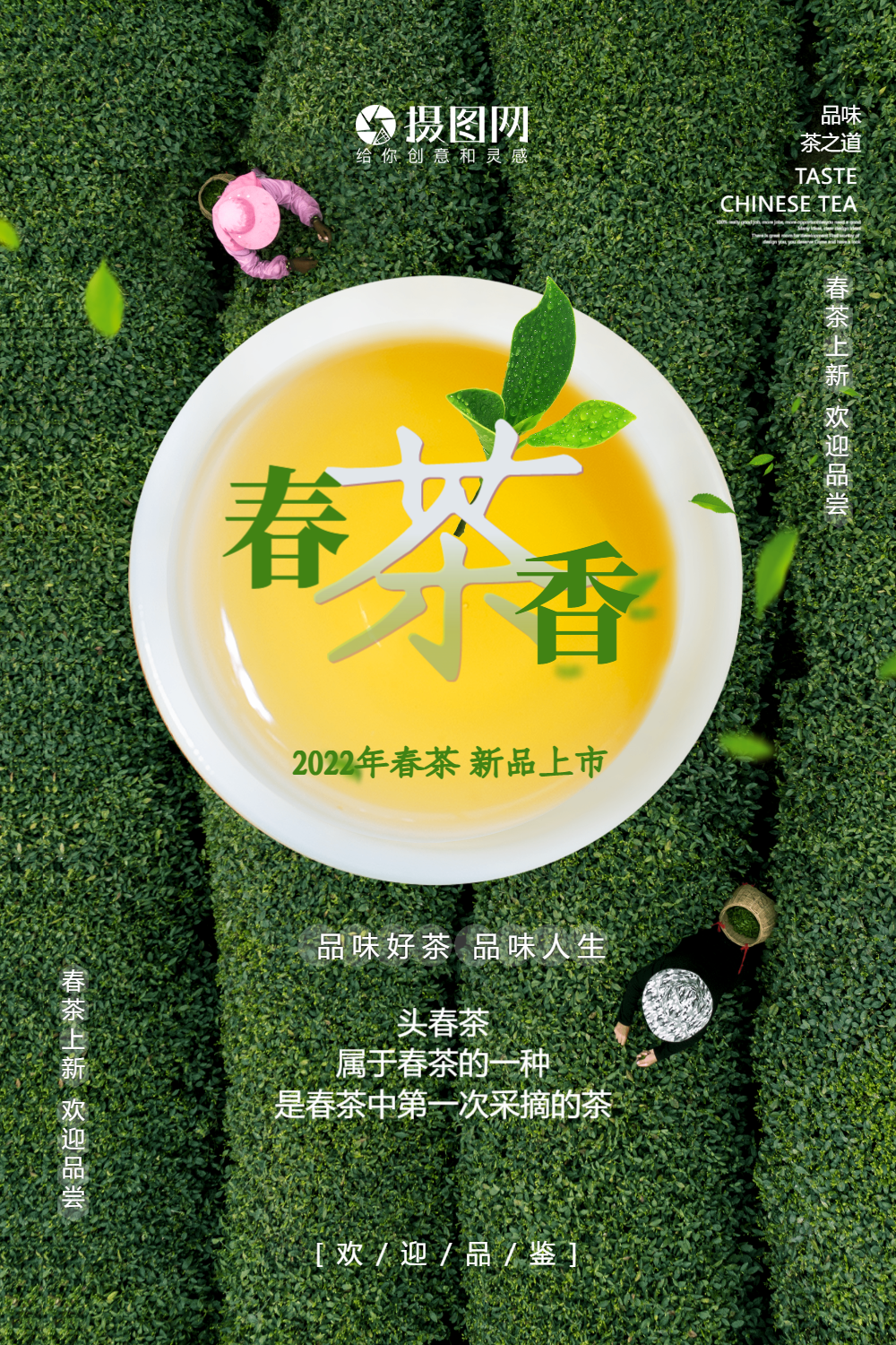 简洁春茶香茶叶海报