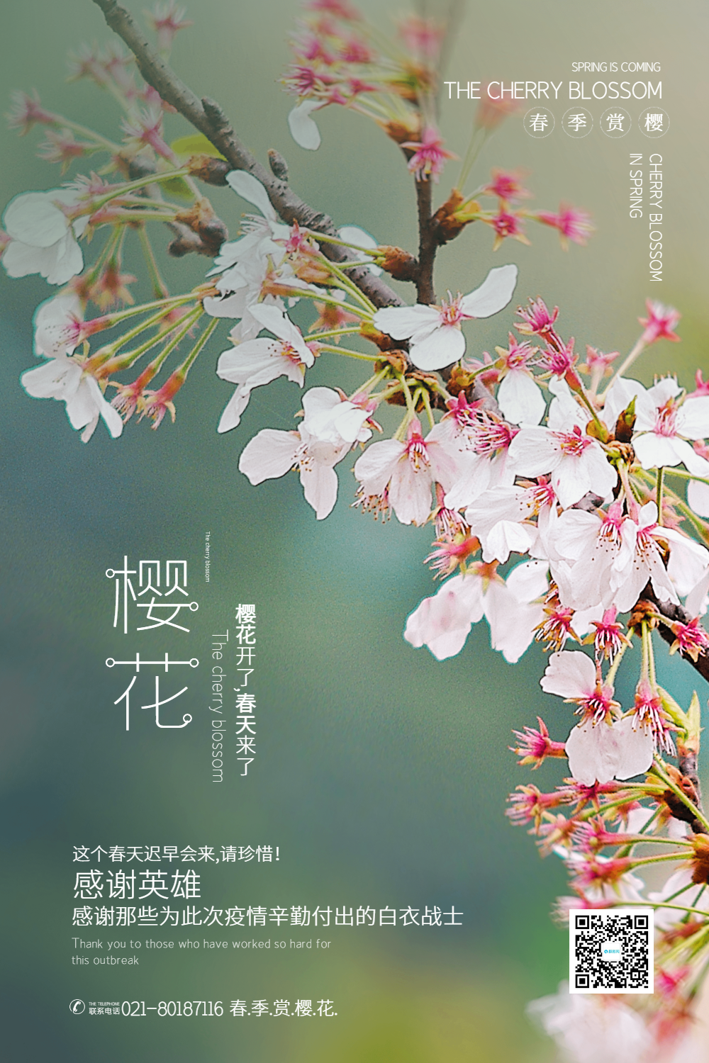 写实简约风樱花春季赏花宣传海报