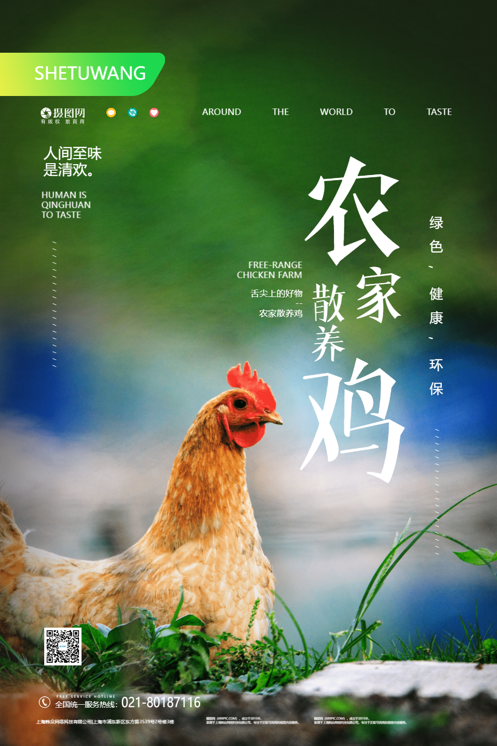 人间至味农家散养鸡宣传海报