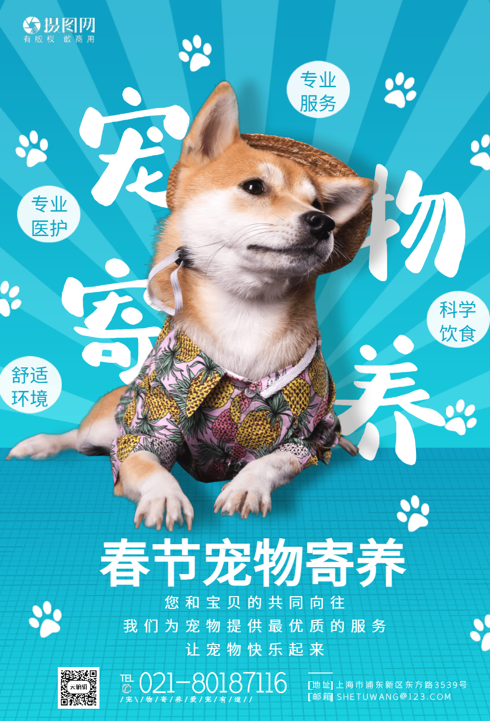 春节宠物寄养团购海报