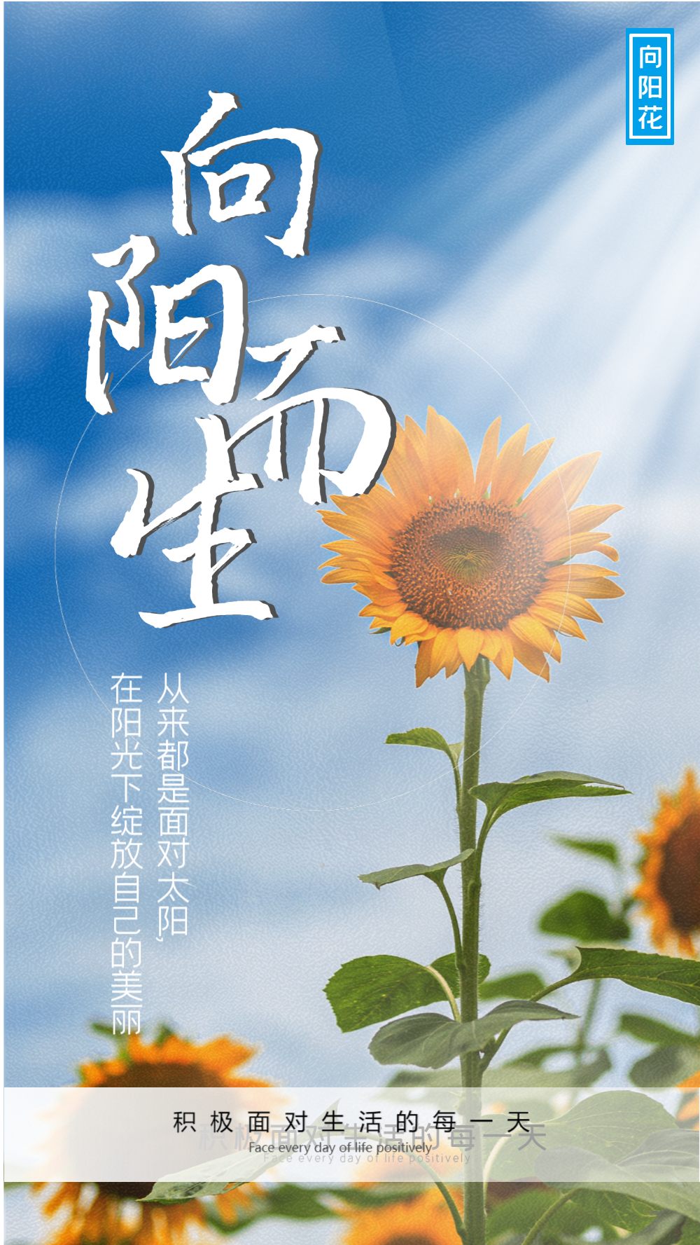 向日葵积极心态摄影图海报