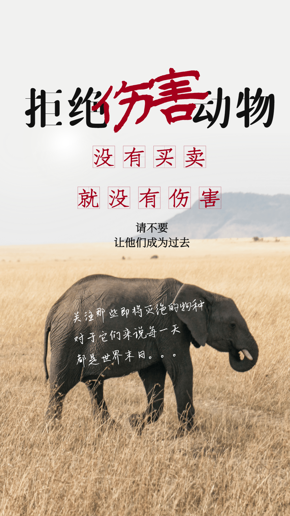 正版保护野生动物宣传摄影图海报正版简约拒绝伤害保护野生动物海报