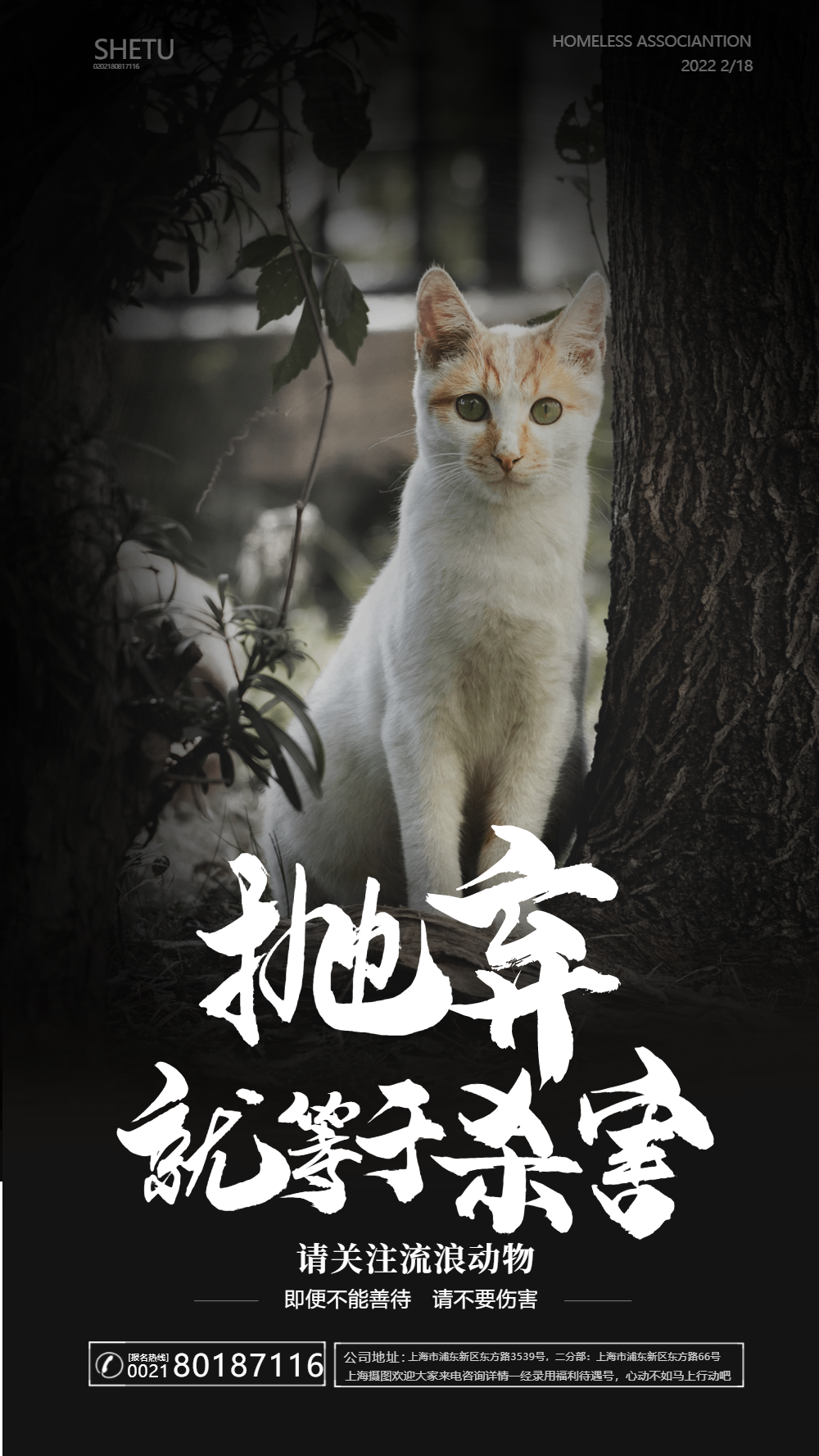 海报 动物图片-海报 动物模板-在线设计制作-图怪兽