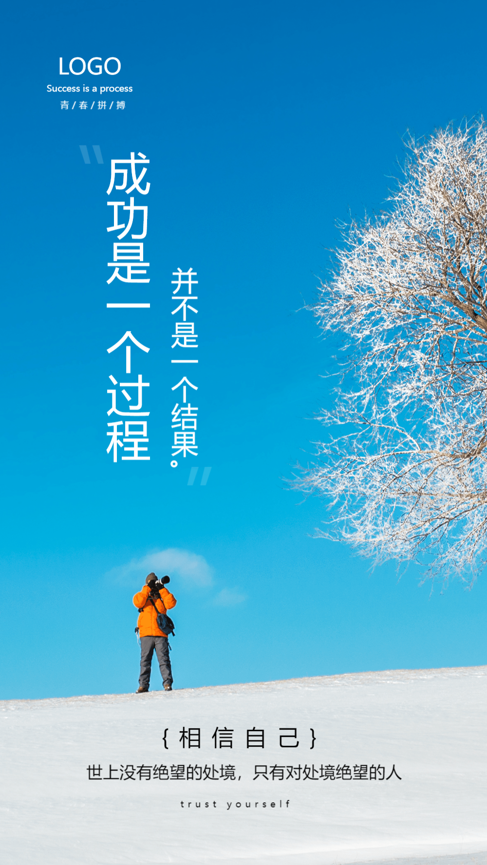 成功是一个过程励志摄影海报