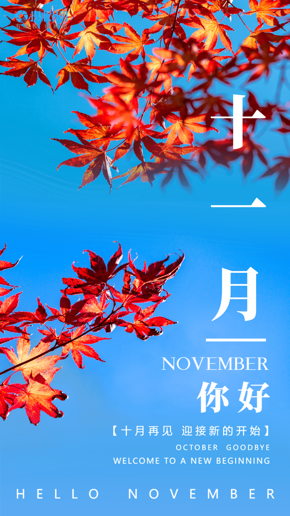 十一月你好海报