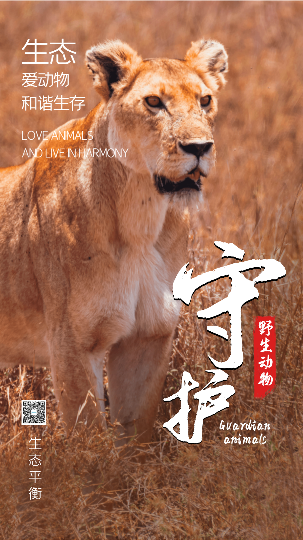 保护动物非洲斑马摄影图海报正版竖版实拍视频卡通风保护野生动物00