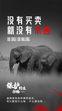 保护大象海报